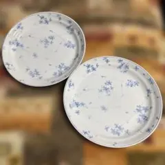 青い花模様の陶器皿2枚セット