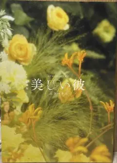 劇場版 美しい彼 エターナル　パンフレット　特典セット