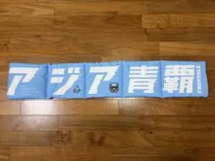 Item thumbnail for item 1b8adbf3-b1b3-43e0-83a5-5662da02cf1e