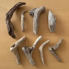 Item thumbnail for item 287b6131-3bc7-409d-96c9-926d1896a8e5