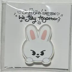 StrayKids リービット SKZOO 展覧会 アクリルステッカー 1点