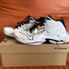 ミント様m(_ _)m。MIZUNO バレーボールシューズ V1GX235500 - メルカリ