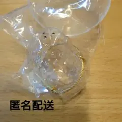 うちの子のけだまだま　犬　プードル