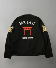 Item thumbnail for item 7e9c487a-d089-44ec-b799-b460e4f1994c