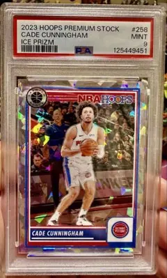 Item thumbnail for item 806271a9-5796-4f7e-8673-73522e53352a