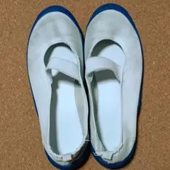 Item thumbnail for item 559b5410-3aaf-4308-9dca-1018eac7c6d9