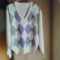 BRUCE LITZKE Vネックセーター M