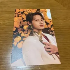 セブチ your choice ポストカード ジュン