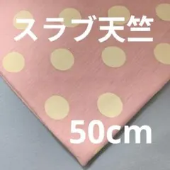 【薄地】スラブ天竺ニット ピンク ドット 50cm ②