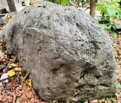 庭石 大 青灰色 約105×60×40㎝ 自然石【石川県引き取り限定】まとめ割 ポイント5倍♪22日限定!] 青砕石 割栗石 50-150mm 20kg / 庭 石