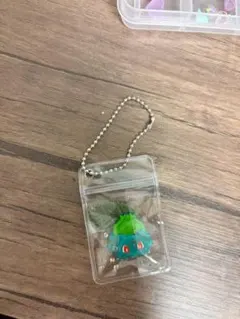 フシギダネのサムネイル