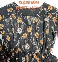 スローブイエナ　Aライン花柄ロング丈シースルーワンピース