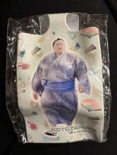 Item thumbnail for item efd09e00-d1b4-4540-b0cc-74fdef778576