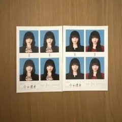 今井環希 seju 証明写真 2枚セット