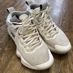 asics Nova Surge バスケットボールシューズ