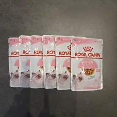 Item thumbnail for item cd1f68fa-a3c9-422a-8613-9107766635e0