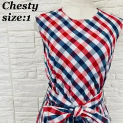 Chesty チェスティ ノースリーブワンピース ギンガムチェック【11557】のサムネイル
