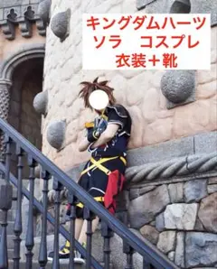 キングダムハーツ2 サイクス　ウィッグ　最終値下げ m66348726608_1.jpg?1775714149