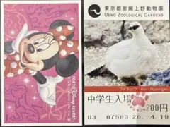 使用済!!東京ディズニーシー パスポート 1枚と上野動物園チケットのサムネイル