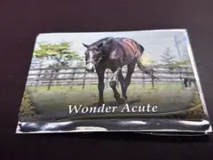 ワンダーアキュート ホースカード 引退馬