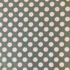35×25 5枚セット　ランチョンマット　ランチクロス　ナフキン　ハンドメイド