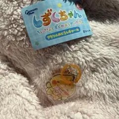 しずくちゃん アクリルめじるしチャーム アセオ君