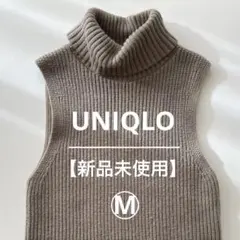 Item thumbnail for item f6566d99-71db-4cb0-b39a-ef7874051358