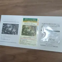 阪神阪急ホールディングス　株主優待 乗車証4回分