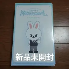 skzoo magicschool 釜山ポップアップ リービット ぬい服