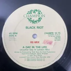 Black Riot – A Day In The Life Re Mix