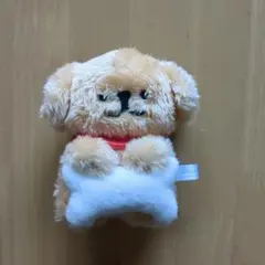 Malteseマルチーズボールチェーン付きぬいぐるみ　マスコット