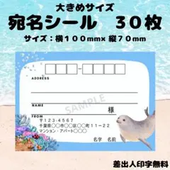 宛名シール　アザラシ　アクアリウム　大きめサイズ　30枚