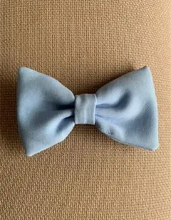 American Apparel ヘアクリップ