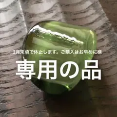 2月末頃で休止します。ご購入はお早めに様 リクエスト 2点 まとめ商品