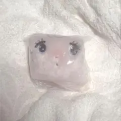 【E★様専用ページ】mikko キャミー フェイス巾着