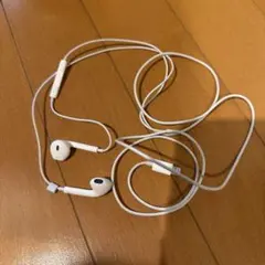 ホワイト 有線イヤフォン 収納ケース付き（Lightningケーブル）