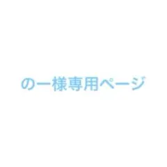 専用ページ