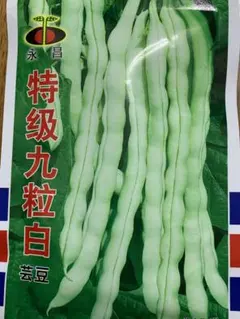 彩子様 リクエスト 2点 まとめ商品