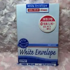 Item thumbnail for item 33b9288c-04ed-4c63-b5e9-2c3115320c9a