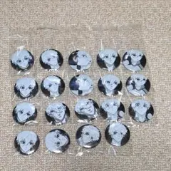ブルーロック展 ブルロ展 推しキャラ缶バッジ 凪 まとめ