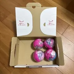 東京ディズニーランド パルパルーザ ミニー カプセルトイ 全4種 コンプ ポーチ