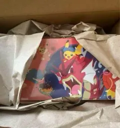 スペシャルBOX ポケモンセンターヒロシマ