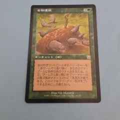 MTG 食物連鎖 Food Chain 日本語版 | Mercari