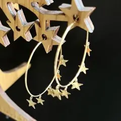 ペ*コ様 スタージュエリーガール K10ゴールド リーフ型ピアス - メルカリ