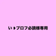 い ❥プロフ必読 様専用