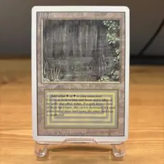 2026年最新】デュアルランドの人気アイテム - メルカリ