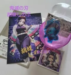 ❨鬼滅の刃❩　胡蝶しのぶセット