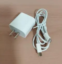 Apple USB-C 20W 純正品電源アダプターとLightningケーブル