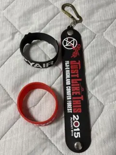 SPYAIR マフラータオル リストバンド ライブグッズ 旧ロゴ まとめ売り