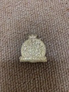 2025年最新】タマムシ大学の人気アイテム - メルカリ